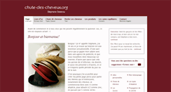 Desktop Screenshot of chute-des-cheveux.org
